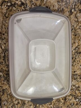 Pampered Chef Chillzanne Rectangular Server #2781 Veggie Relish Tray